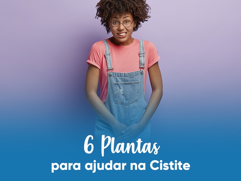 6 Plantas para ajudar no Tratamento de Cistite